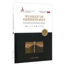 Immagine del venditore per Deep gas reservoir of high temperature and high pressure and explosion induced fracturing technology complex multistage reservoir physical - chemical reinforcement of mining engineering technology research and practice(Chinese Edition) venduto da liu xing