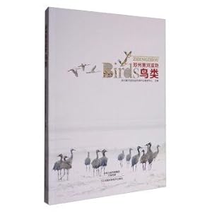 Seller image for Zhengzhou Yellow River wetland birds(Chinese Edition) for sale by liu xing