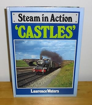 Seller image for Steam in Action : Castles for sale by M. C. Wilson