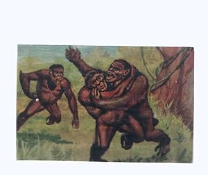 Imagen del vendedor de Cromos: de la Selva Misteriosa a los abismos del mar: numero 066: Encarnizados luchadores de cuatro manos a la venta por EL BOLETIN