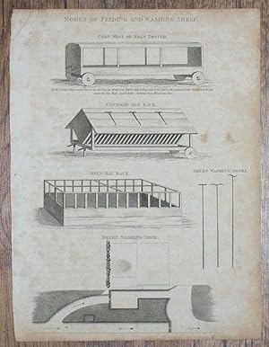 Engraved Plate from C19 Agricultural Book showing "Modes of Feeding and Washing Sheep"