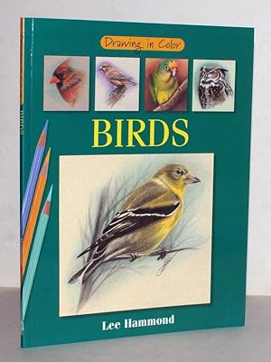 Drawings in Color Birds.