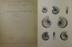 Description des Ammonites des couches a Peltoceras Transversarium (Oxfordien supérieur) De trept ...