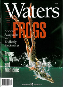 Bild des Verkufers fr "Waters" (Autumn 1998). Frogs zum Verkauf von Schueling Buchkurier