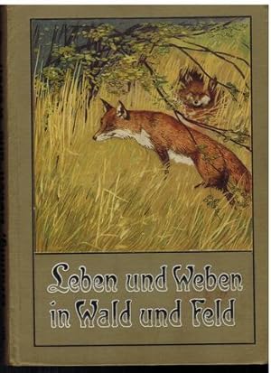 Seller image for Leben und Weben in Wald und Feld. Fr die Jugend herausgegeben. for sale by Antiquariat Appel - Wessling