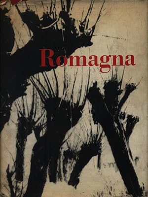 Immagine del venditore per Romagna venduto da Librodifaccia