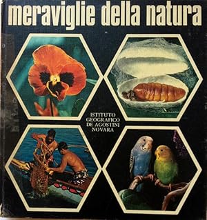 MERAVIGLIE DELLA NATURA: I VEGETALI