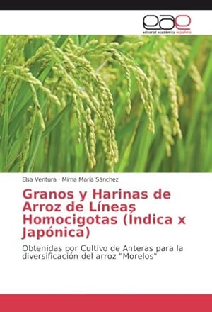 Image du vendeur pour Granos y Harinas de Arroz de Lneas Homocigotas (ndica x Japnica) : Obtenidas por Cultivo de Anteras para la diversificacin del arroz "Morelos" mis en vente par AHA-BUCH GmbH