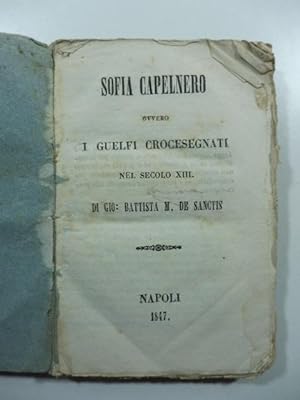 Sofia Capelnero ovvero i Guelfi crocesegnati nel secolo XIII