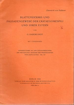 Seller image for Blattepidermis und Palisadengewebe der Crataegomespili und ihrer for sale by Clivia Mueller