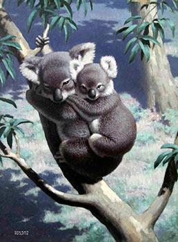 Two Koala Bears in a Tree