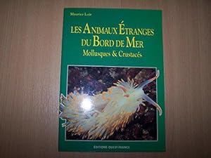 Image du vendeur pour Animaux tranges du bord de mer mis en vente par JLG_livres anciens et modernes