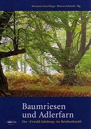 Bild des Verkufers fr Baumriesen und Adlerfarn: Der "Urwald Sababurg" im Reinhardswald zum Verkauf von Kepler-Buchversand Huong Bach