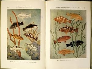 Records of changes in color among fishes (le phénomène des changements de couleurs parim les pois...