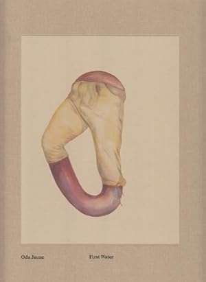 Seller image for ODA JAUNE (Michaela Danowska, 1979) bulgarische Malerin, Meisterschlerin und Ehefrau von Jrg Immendorff for sale by Herbst-Auktionen