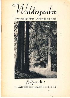 Image du vendeur pour Waldeszauber - Mystere de la Foret - Mysterie of the Wood. mis en vente par Buchversand Joachim Neumann