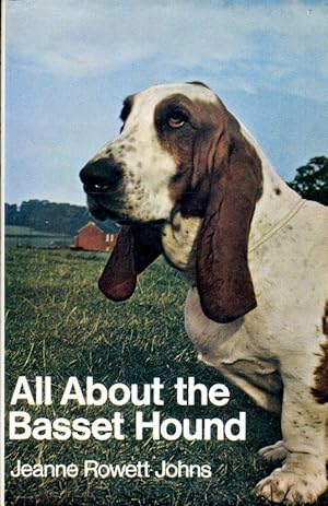 All About the Basset Hound