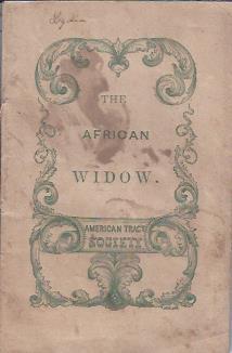 Seller image for The African Widow for sale by The Ridge Books