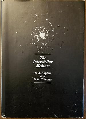 The Interstellar Medium