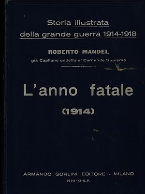 Imagen del vendedor de Storia illustrata della grande guerra 1914-1918 vol. 1 - L'anno fatale 1914 a la venta por Librodifaccia