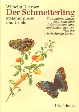 Immagine del venditore per Der Schmetterling. venduto da Versandantiquariat Boller