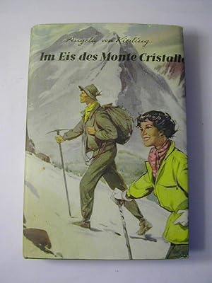 Bild des Verkufers fr Im Eis des Monte Cristallo : Roman zum Verkauf von Antiquariat Fuchseck
