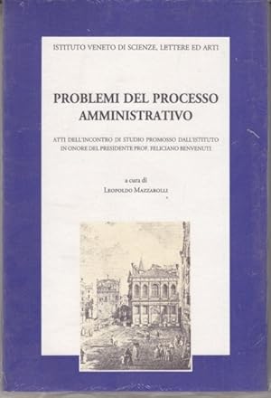 Bild des Verkufers fr Problemi del processo amministrativo zum Verkauf von Librodifaccia