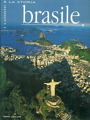 Bild des Verkufers fr Brasile zum Verkauf von Librodifaccia
