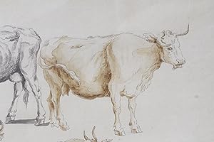 Imagen del vendedor de tude de vaches a la venta por Librairie Le Feu Follet