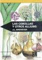 Las cebollas y otros alliums