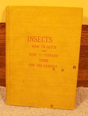 Bild des Verkufers fr Insects - How to Catch and How to Prepare Them for the Cabinet Comprising A Manual of Instruction For The Field Naturalist zum Verkauf von M and N Books and Treasures