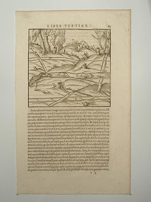 Seller image for De Re metallica libri XII (Vom Berg- und Httenwesen). Buch III: ber die Gnge, Klfte und Gesteinsschichten, Blatt: Seite 53 / 54, (VD17 23:297726T). Dritte lateinische Ausgabe. for sale by Versandantiquariat Christine Laist