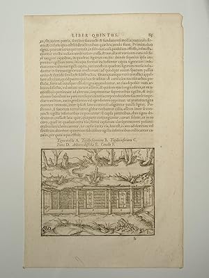 Seller image for De Re metallica libri XII (Vom Berg- und Httenwesen). Buch V: Von dem Aufschluss und dem Abbau der Lagersttten von der Markscheidekunst, Blatt: Seite 85 / 86 (VD17 23:297726T). Dritte lateinische Ausgabe. for sale by Versandantiquariat Christine Laist