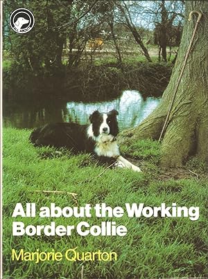 Seller image for ALL ABOUT THE WORKING BORDER COLLIE. By Marjorie Quarton. The 'All About' series. for sale by Coch-y-Bonddu Books Ltd
