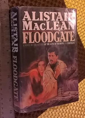 Seller image for Floodgate for sale by Bargain Finders of Colorado