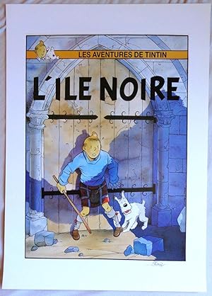 Les aventures de Tintin - l'île noire (porte)