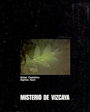 Imagen del vendedor de Misterio de Vizcaya . a la venta por Librera Astarloa