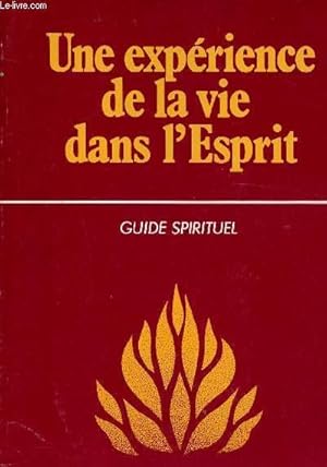 Seller image for UNE EXPERIENCE DE LA VIE DANS L'ESPRIT - GUIDE SPIRITUEL for sale by Le-Livre