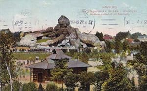 Carl Hagenbeck`s Tierpark - Stellingen. Nordische Landschaft mit Rutschbahn. Farbige Ansichtskart...