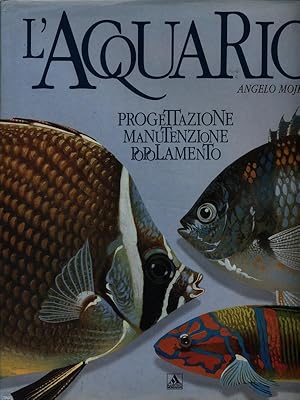 L'acquario