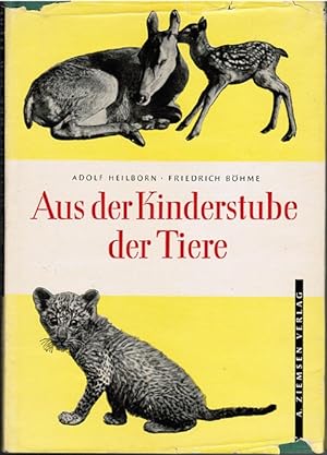 Seller image for Aus der Kinderstube der Tiere. ; Friedrich Bhme. Mit 95 Abb. u. 3 Farbaufn. von Dietrich Khlmann for sale by Schrmann und Kiewning GbR