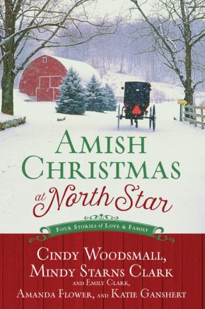 Seller image for Amish Christmas at North Star: Four Stories of Love and Family for sale by ChristianBookbag / Beans Books, Inc.