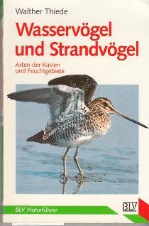 Seller image for Wasservgel und Strandvgel. Arten der Ksten und Feuchtgebiete for sale by Buchversand Joachim Neumann
