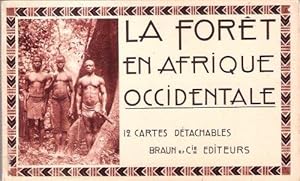 La Forêt En Afrique Occidentale : 12 Cartes Détachables