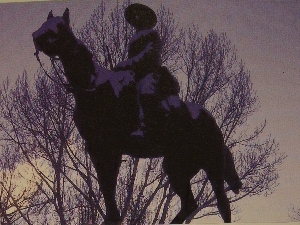 A Canadian mounted rifleman at war, 1899-1902. The reminiscences.