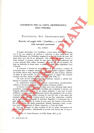 Bild des Verkufers fr Territorio dei Castronovani. Ricerche sul poggio della ?Castellina? ; e nuovi dati sulla necropoli preromana. zum Verkauf von Libreria Piani