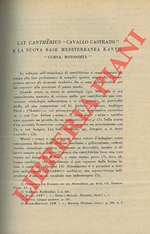 Lat. Cantherius  cavallo castrato  e la nuova base mediterranea kant.  curva, rotondità  .