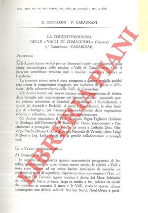 La coleotterofauna delle  Valli di Comacchio  (Ferrara) . I. Carabidae. II. Staphylinidae.