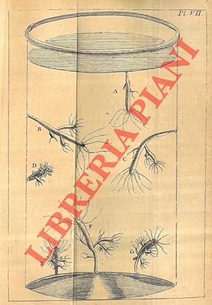 Essai sur l'histoire naturelle du polype, insecte.