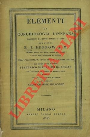 Bild des Verkufers fr Elementi di Conchiologia Linneana. Illustrati da XXVIII tavole in rame. zum Verkauf von Libreria Piani